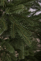 Ель искусственная литая Ладожская