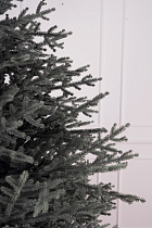 Ель искусственная литая Арко голубая