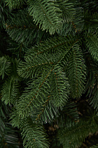 Ель искусственная премиум Омская