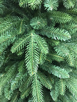 Ель искусственная премиум Португальская