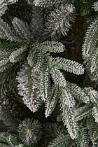 Ель искусственная премиум заснеженная Валдайская