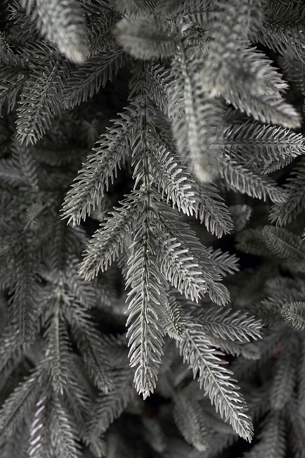 Ель искусственная литая Испанская голубая