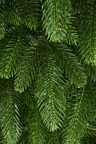 Ель искусственная литая Рижская