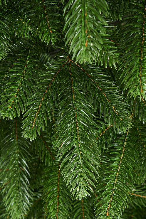 Ель искусственная литая Рижская