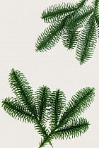 Ветка литая Нобилис МК L-171 № 52