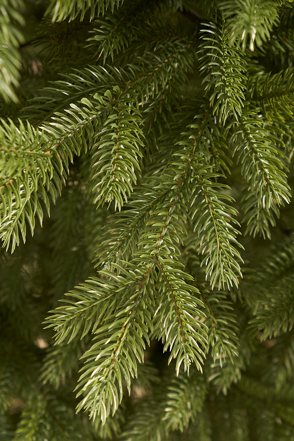Ель искусственная литая Новгородская