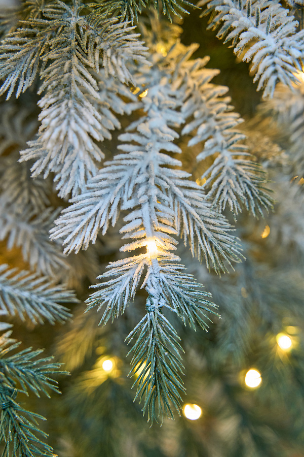 Ель заснеженная с лампочками Аркадия