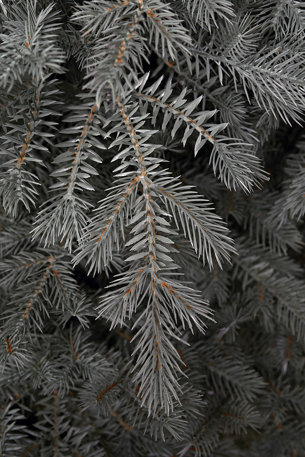 Ель искусственная литая Мурманская голубая