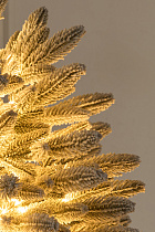 Ель настольная Романовская заснеженная с лампочками