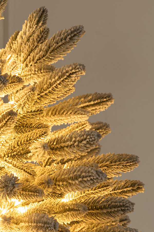 Ель настольная Романовская заснеженная с лампочками