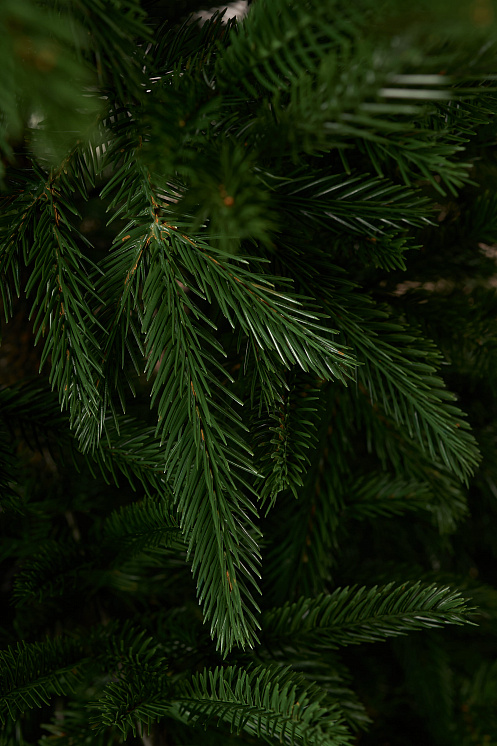 Ель литая Вяземская