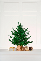 Ель настольная Вяземская