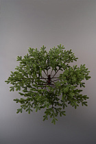 Елка литая Лозанна