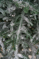 Ель искусственная заснеженная Эми на штамбе