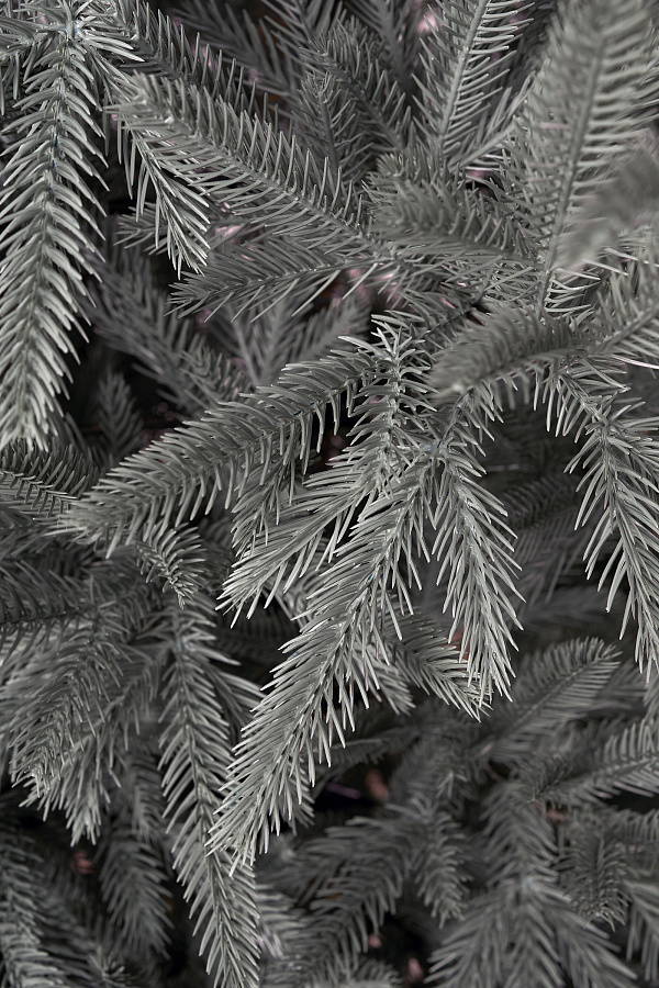 Ель литая Вяземская голубая