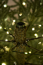 Ель голубая с лампочками литая Арко Элитная