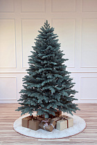 Ель литая Коломенская голубая