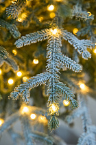 Ель искусственная Эми с лампочками заснеженная на штамбе