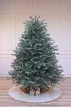 Ель искусственная литая Арко голубая