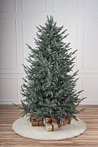 Ель литая Вяземская голубая