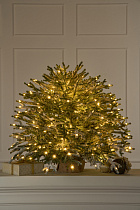 Ель Эми настольная иней с лампочками