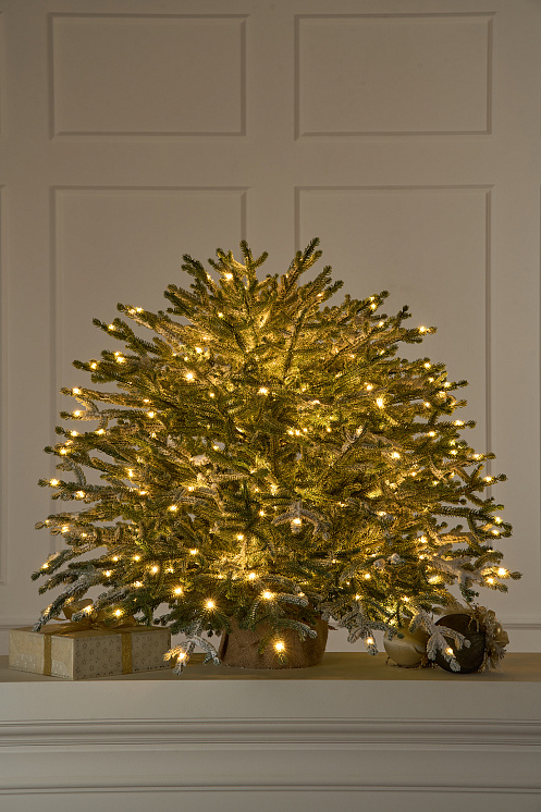 Ель Эми настольная иней с лампочками