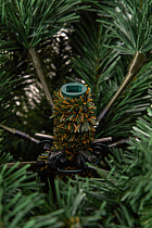 Ель искусственная премиум Омская