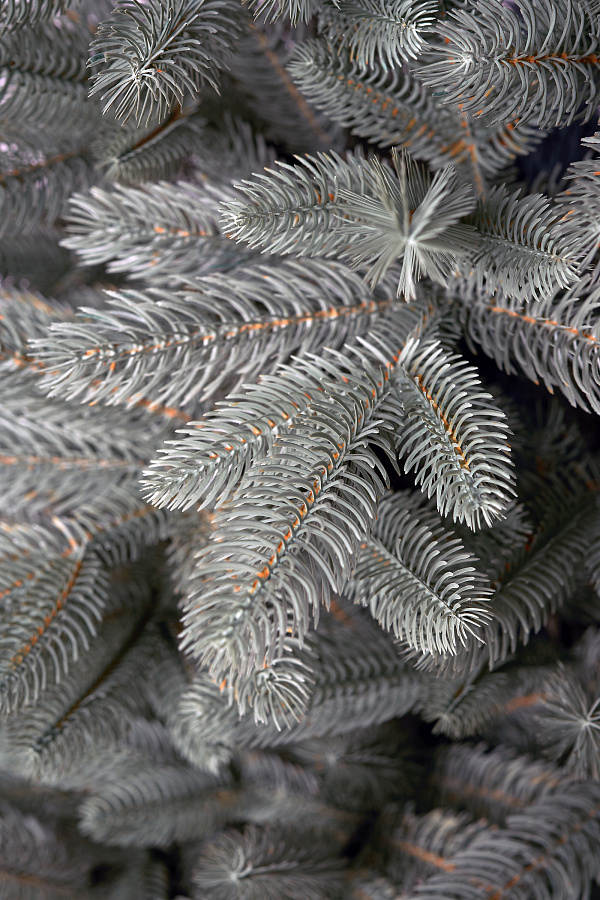 Ель искусственная литая Тверская голубая