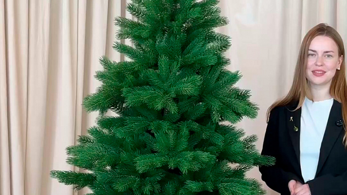 Ель литая Монблан