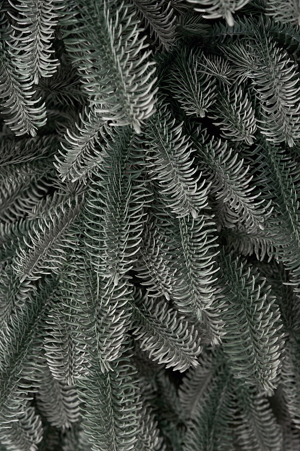 Ель искусственная Датская голубая