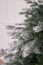 Ель литая Мурманская иней