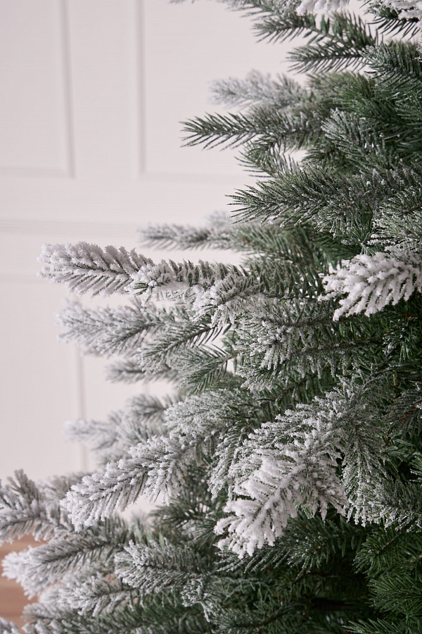 Ель литая Мурманская иней