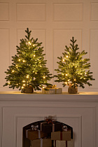 Ель настольная Версальская с лампочками