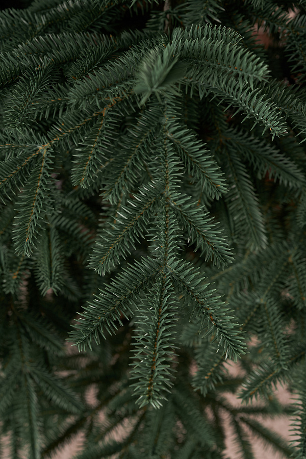 Ель искусственная литая Сударыня