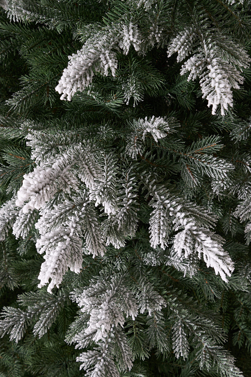 Ель литая Мурманская иней
