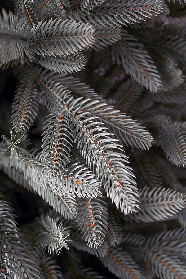 Ель искусственная литая Самарская голубая