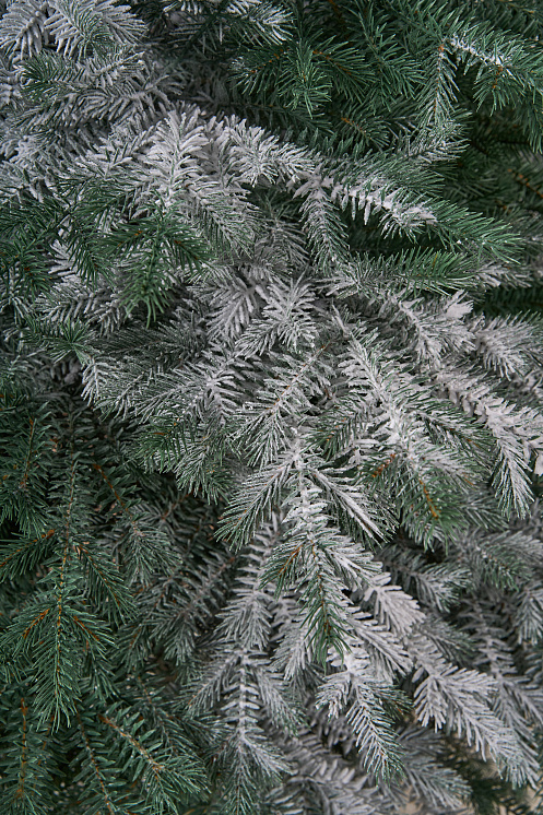 Ель искусственная Аркадия иней