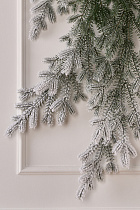 Фиджи бант иней