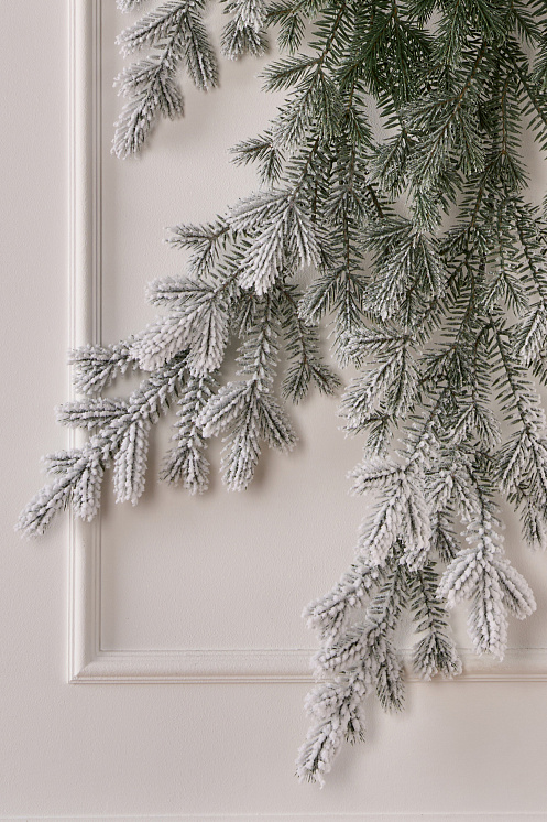 Фиджи бант иней