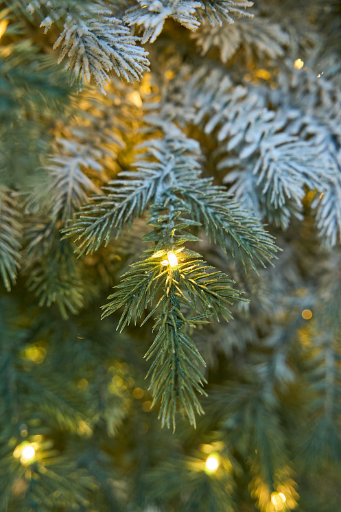 Ель заснеженная с лампочками Аркадия