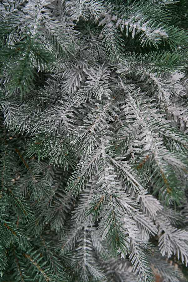 Ель искусственная Аркадия иней