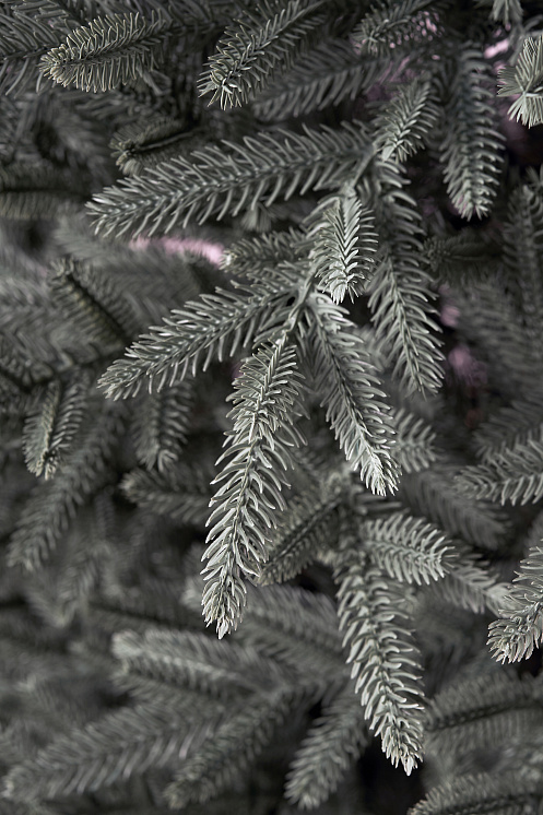 Ель искусственная литая Испанская голубая