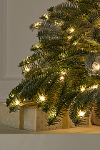 Ель Датская настольная заснеженная с лампочками