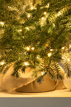 Ель Шуша настольная иней с лампочками