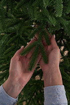 Ель искусственная литая Вдохновение