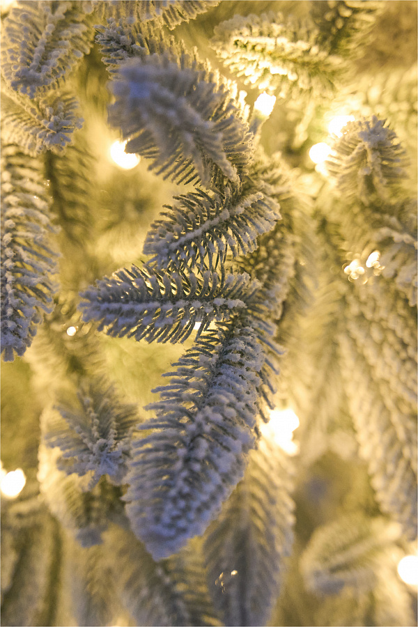 Ель с лампочками  заснеженная Смоленская