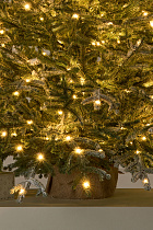 Ель Эми настольная иней с лампочками