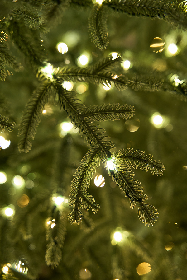 Ель голубая с лампочками литая Арко Элитная