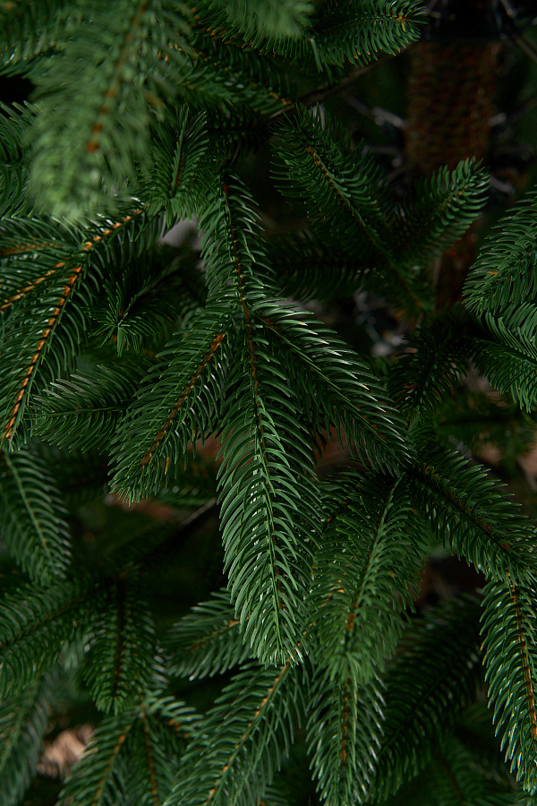 Елка литая Лозанна