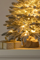 Ель настольная Романовская заснеженная с лампочками